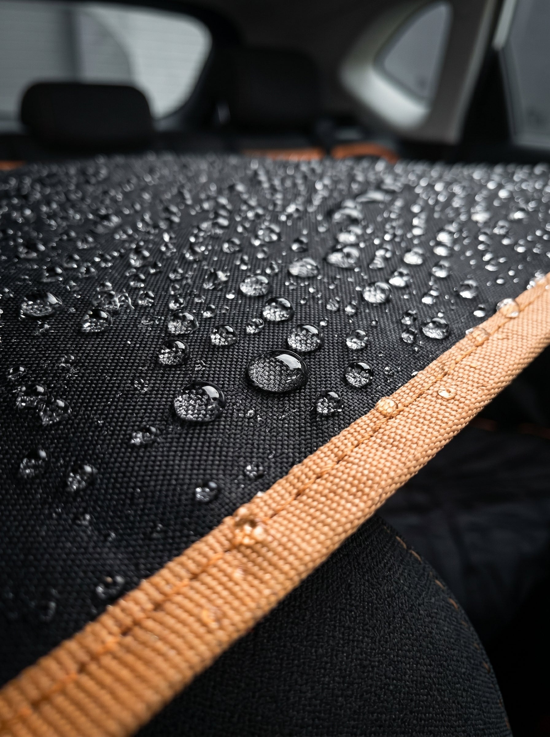 RoadGuard Car/Dog Seat Cover