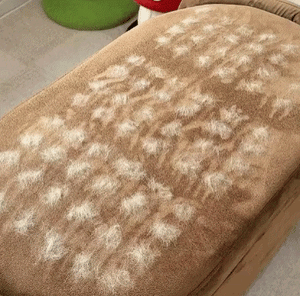 Pawly Grooming Gloves