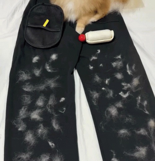 Pawly Grooming Gloves