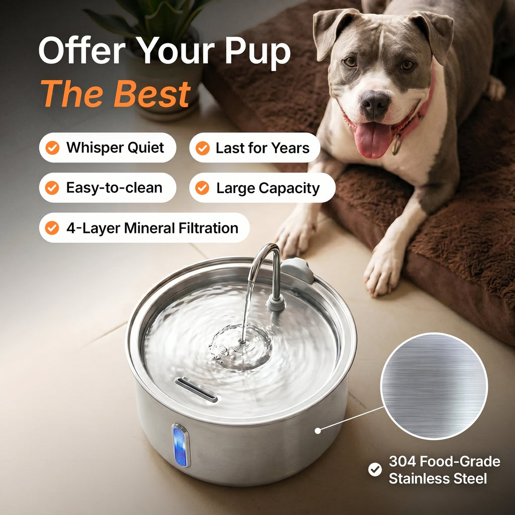 The Pawly Fountain™