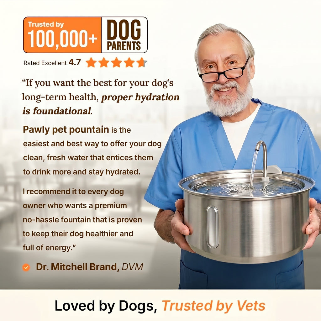 The Pawly Fountain™