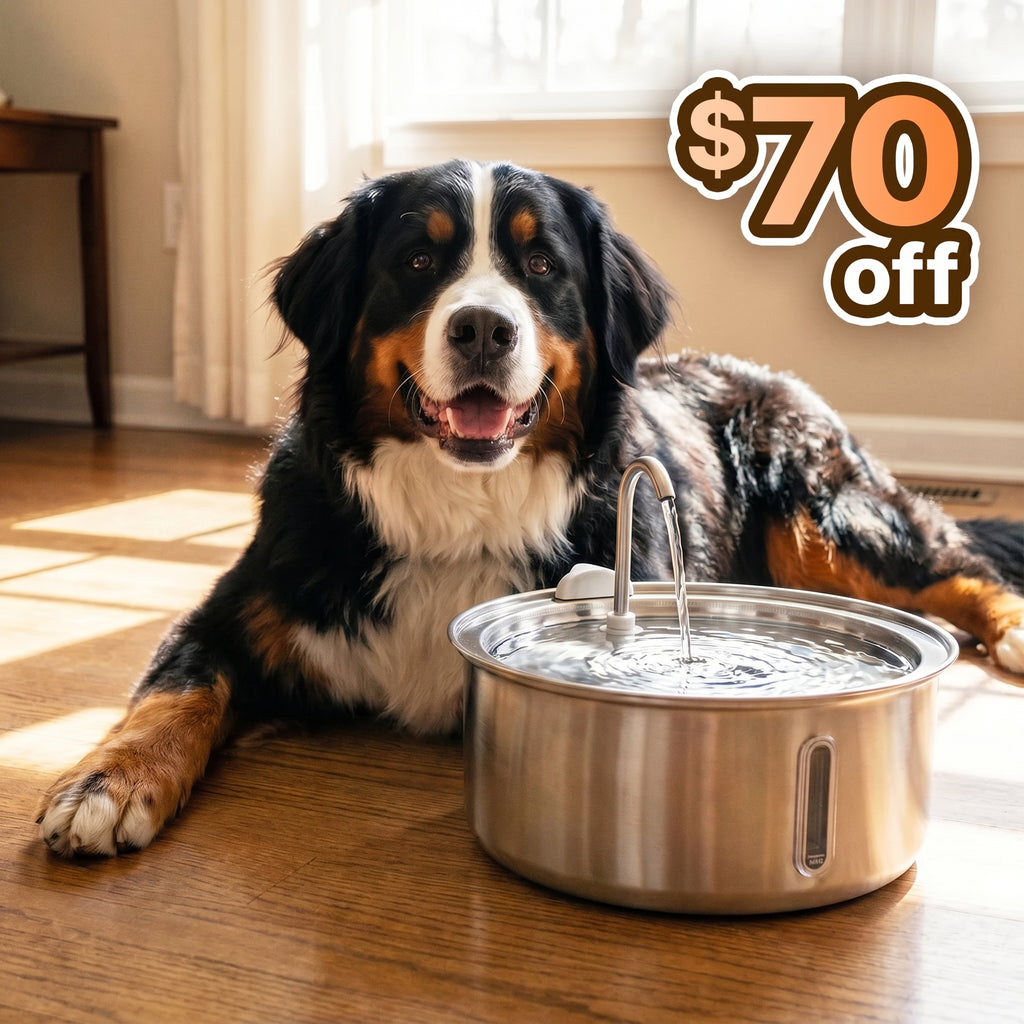 The Pawly Fountain™