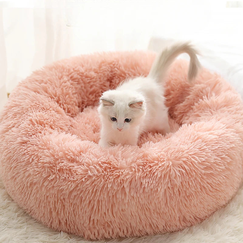 CloudNest Calming Bed