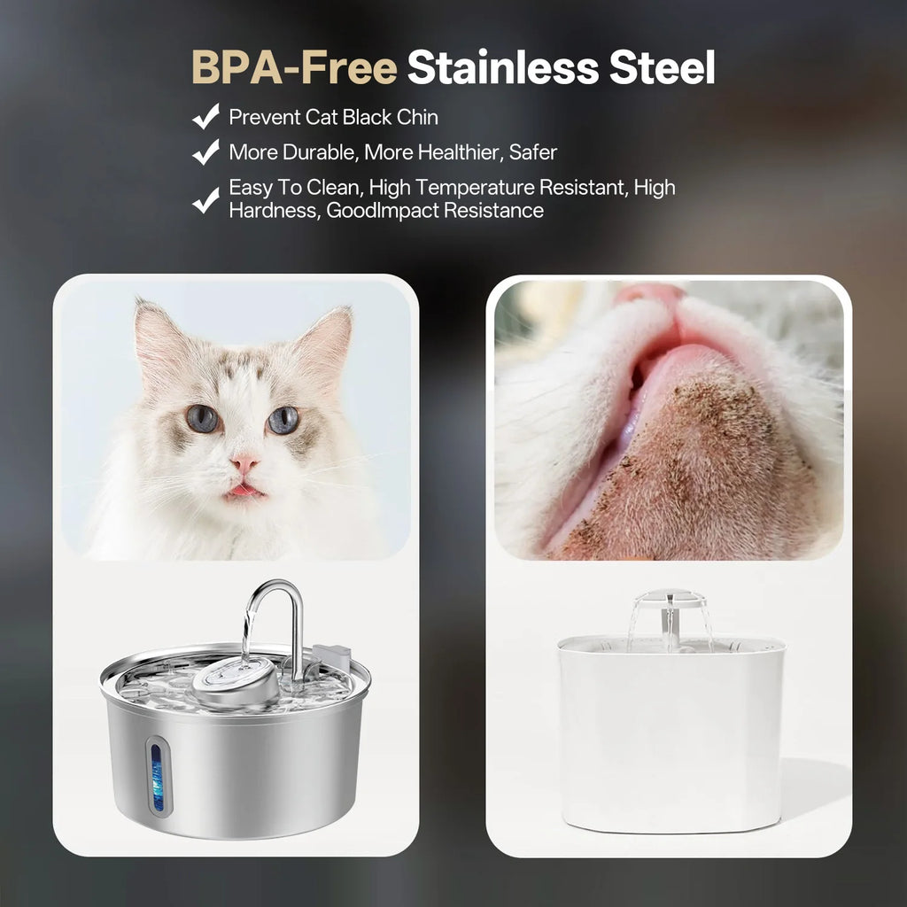 The Pawly Fountain™