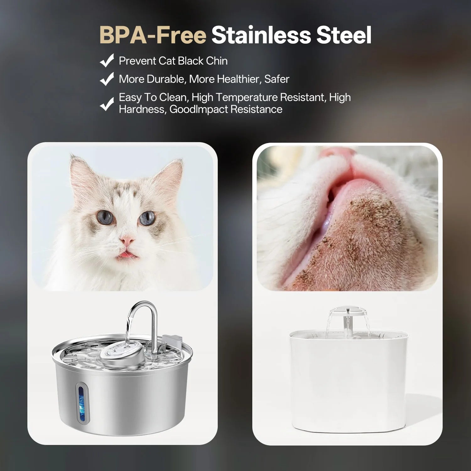 The Pawly Fountain™