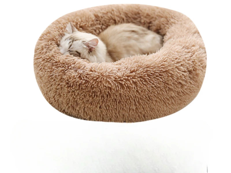 CloudNest Calming Bed