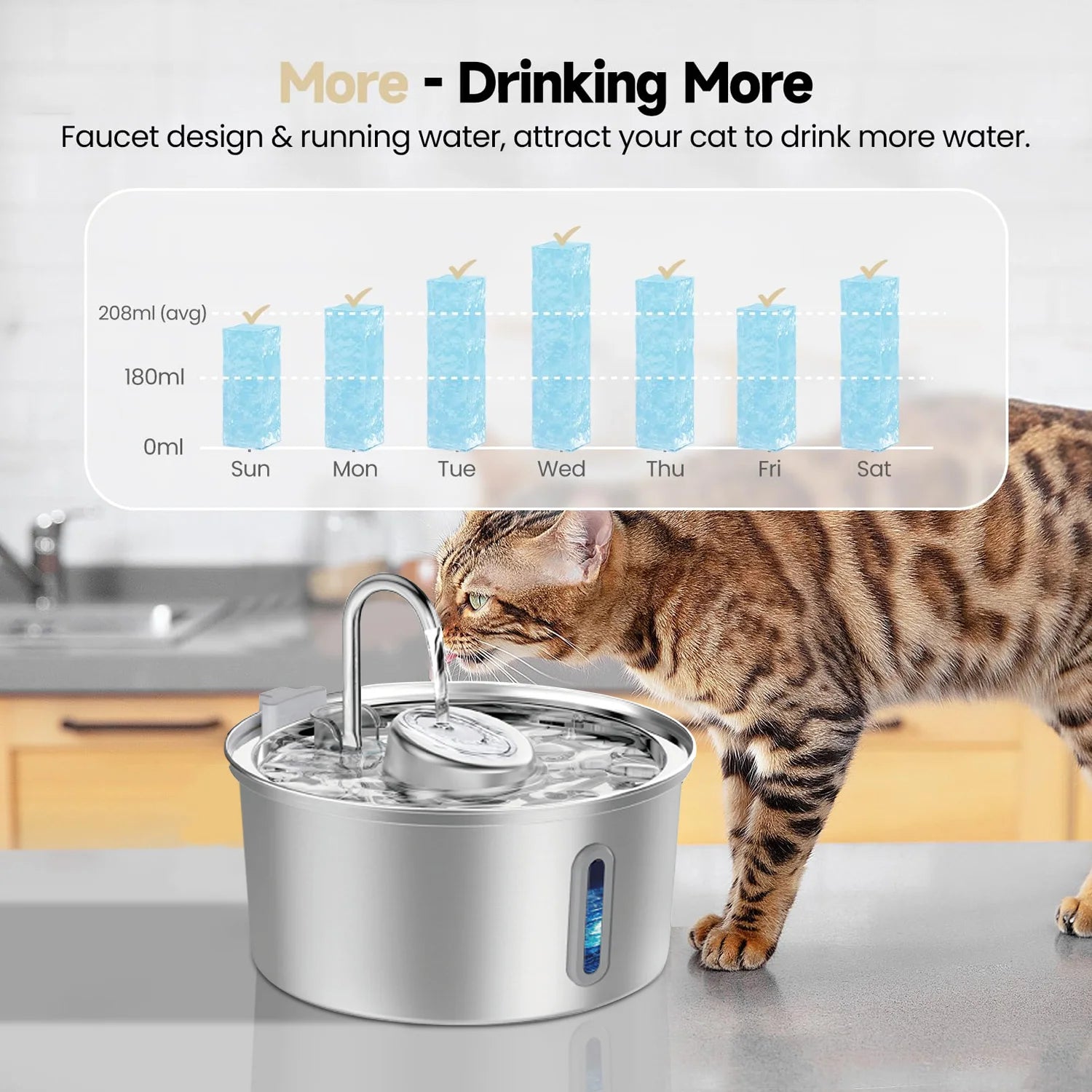 The Pawly Fountain™